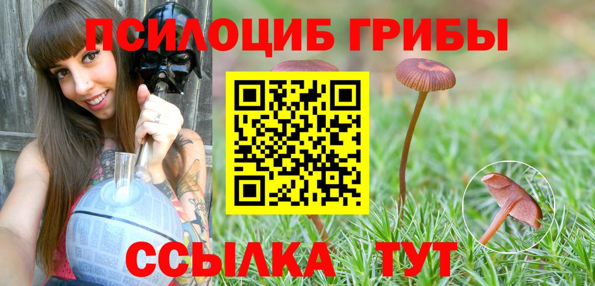 Галлюциногенные грибы Psilocybine cubensis Павлово